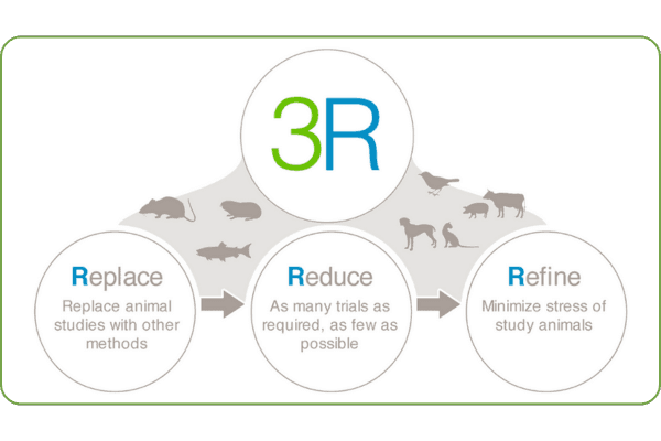 Illustration de la démarche 3R : Replace, Reduce, Refine