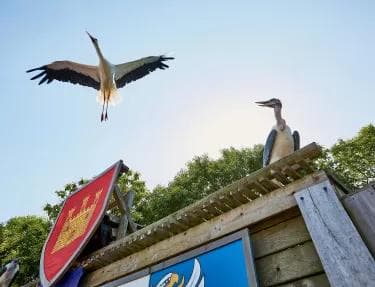 Puy du Fou