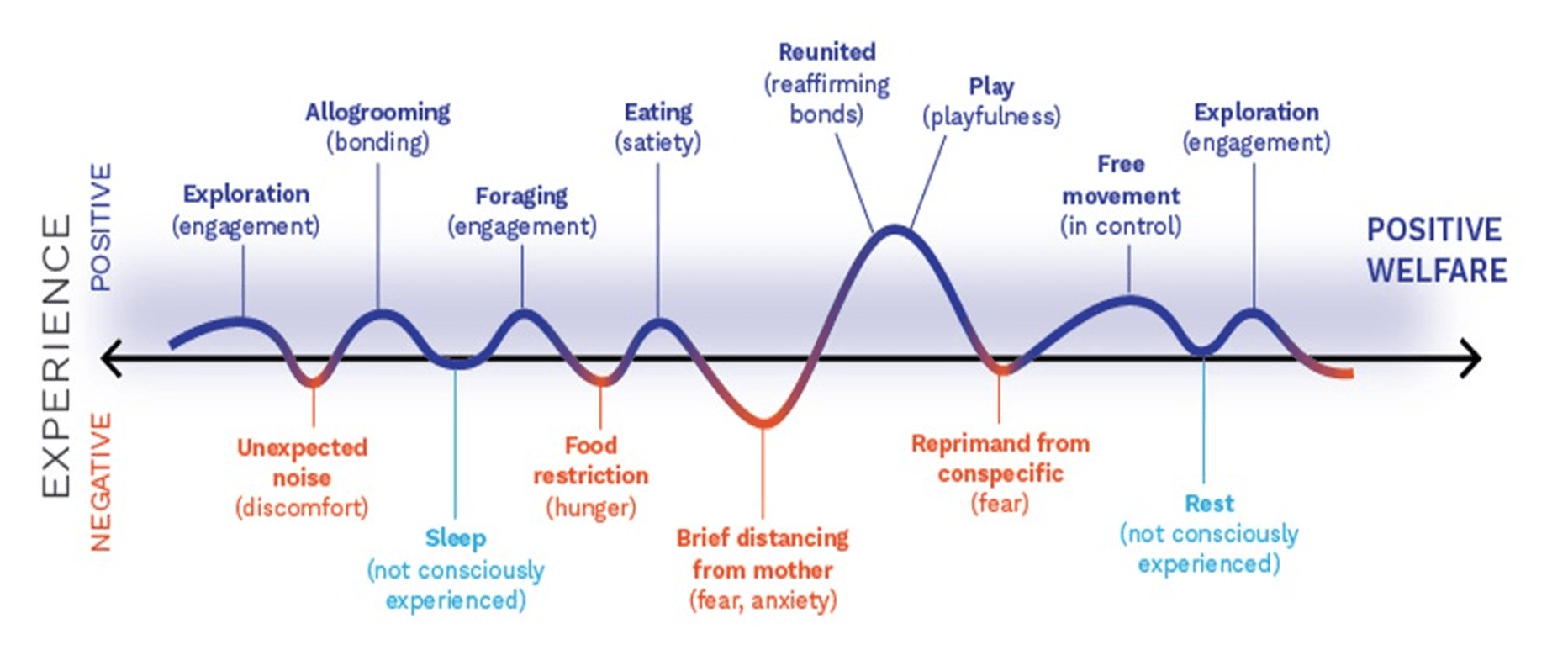 Variation of the welfare state over time