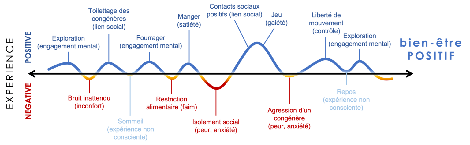 Variations de l'état de bien-être au cours du temps