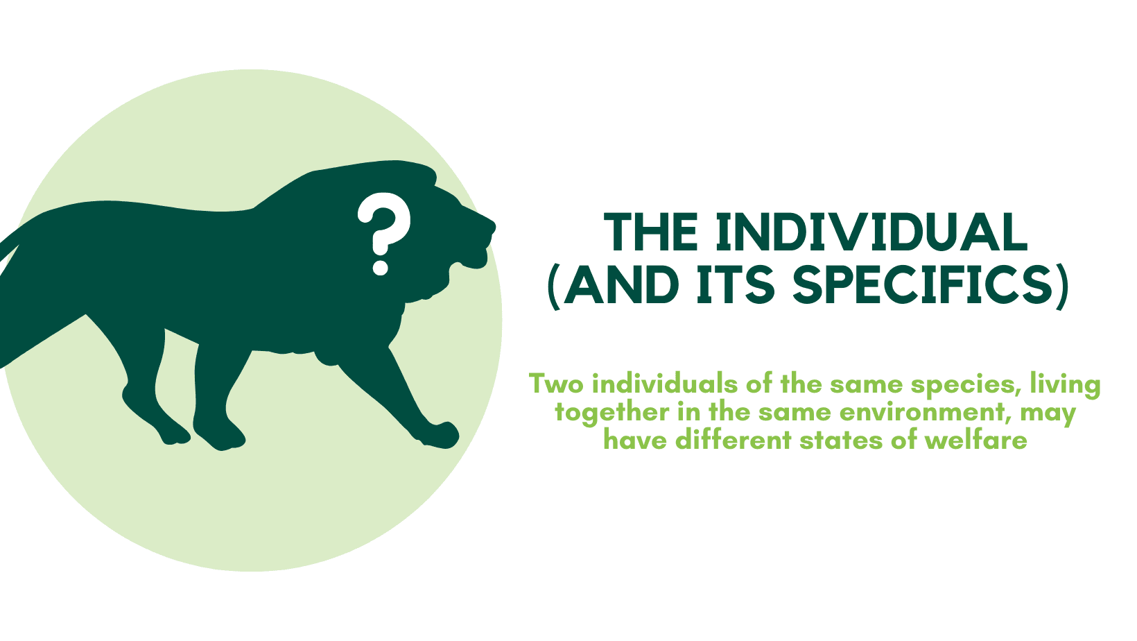 The individual (and its specifics)