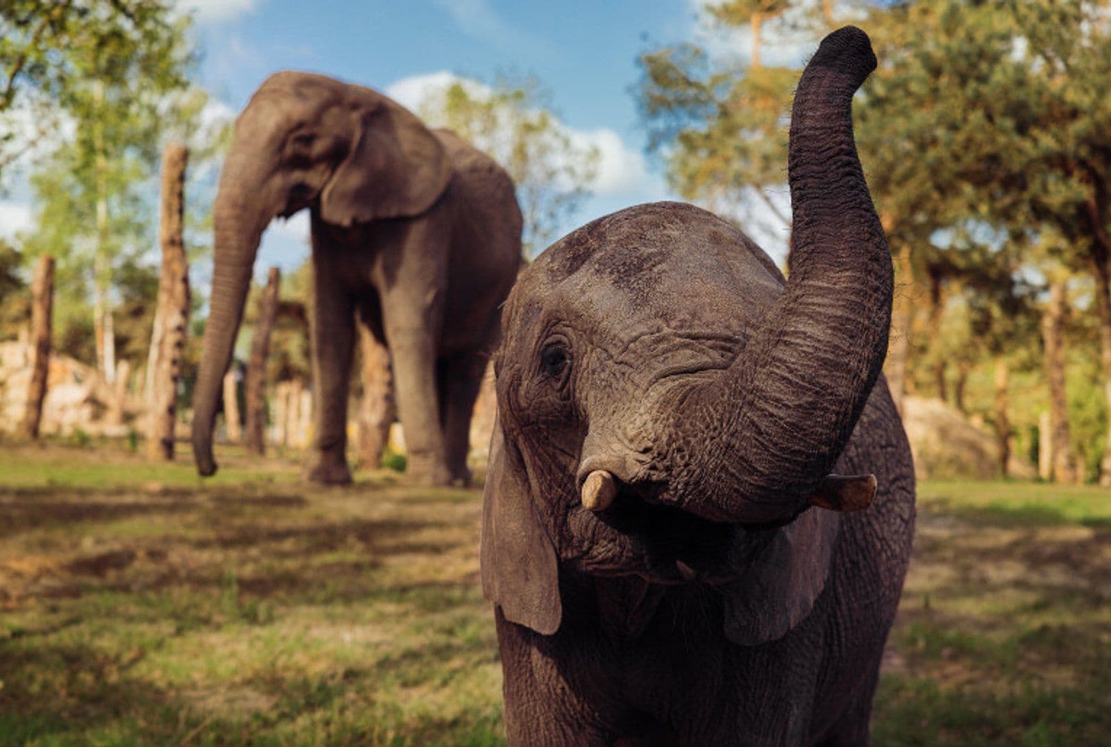 Safaripark Beekse Bergen